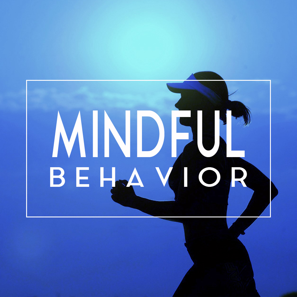 module-cover-mindful-behavior